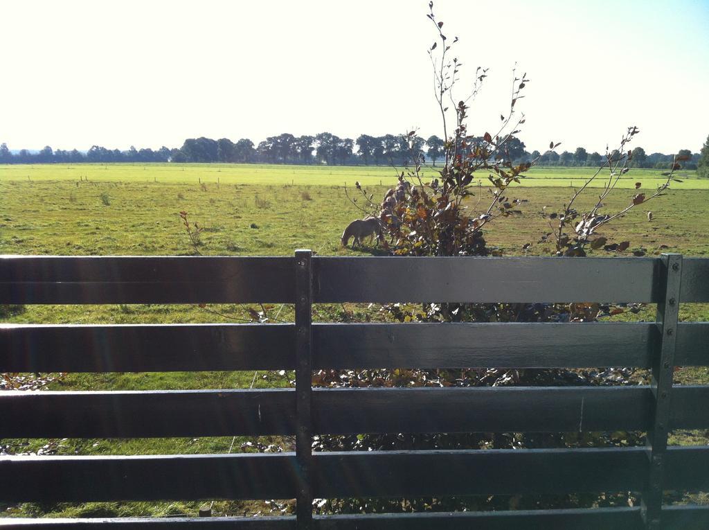B&B Logement Grenzeloos Doldersum Quarto foto